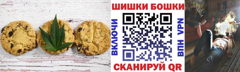 Купить закладки  Отрадное  Canna-Cookies конопля 