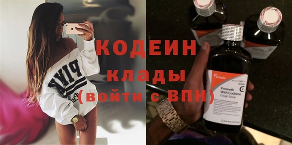 шишки Богородицк