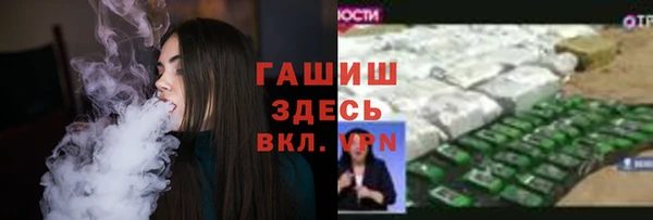шишки Богородицк