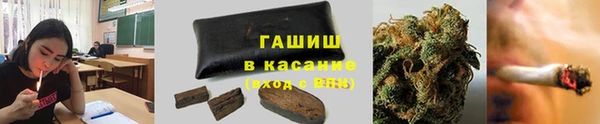 твердый Богданович
