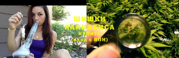 шишки Богородицк