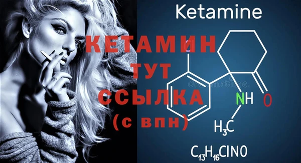 шишки Богородицк