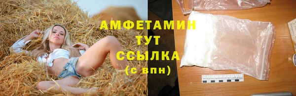 шишки Богородицк